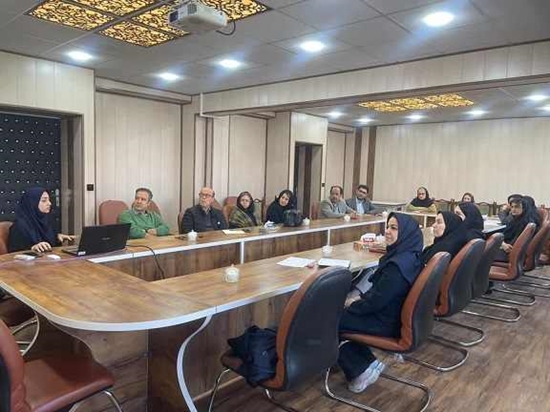 برگزاری کارگاه «طرح‌های اثرگذار» 