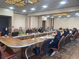 برگزاری کارگاه «طرح‌های اثرگذار» ویژه اساتید محترم دانشکده داروسازی